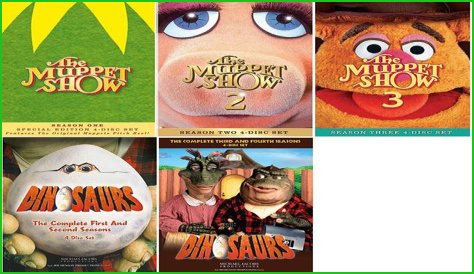 Type of bird that Sam is on The Muppet Show